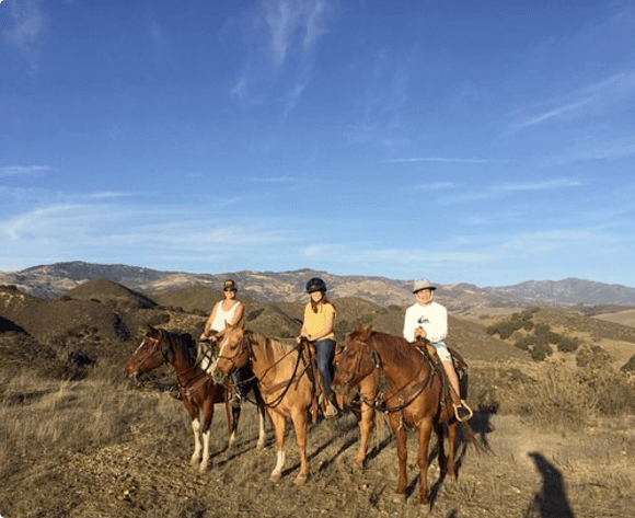 Vino Vaqueros