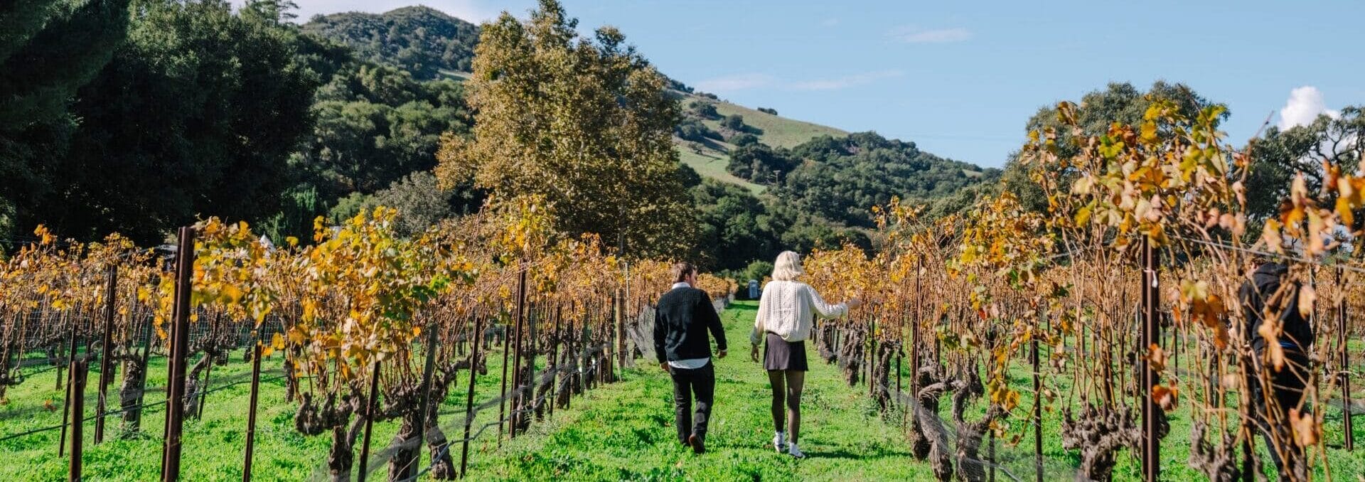 One-of-a-Kind Wonders and Worthwhile Stops Near Sideways Inn